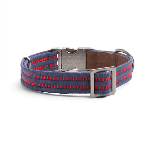 Reddy Webbed Dog Collar, Navy, Medium | Petco