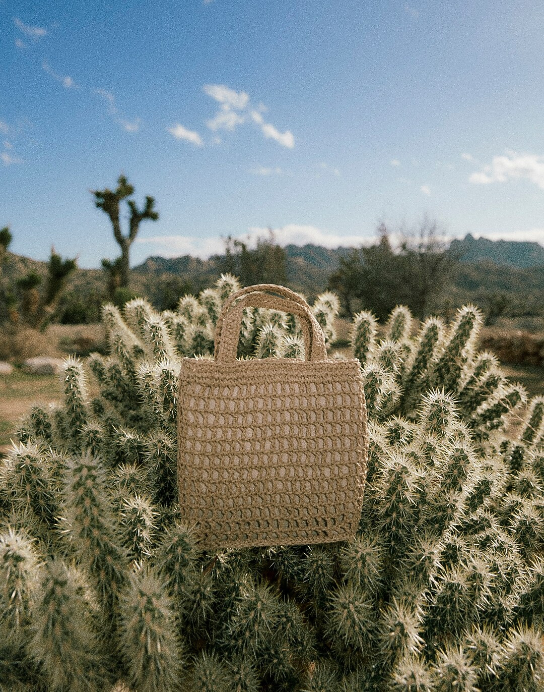 The Small Transport Crossbody: Straw Edition | Madewell