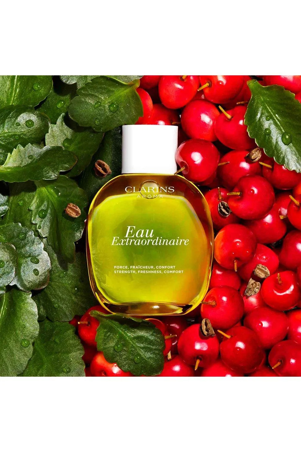 Eau Extraordinaire | Debenhams UK