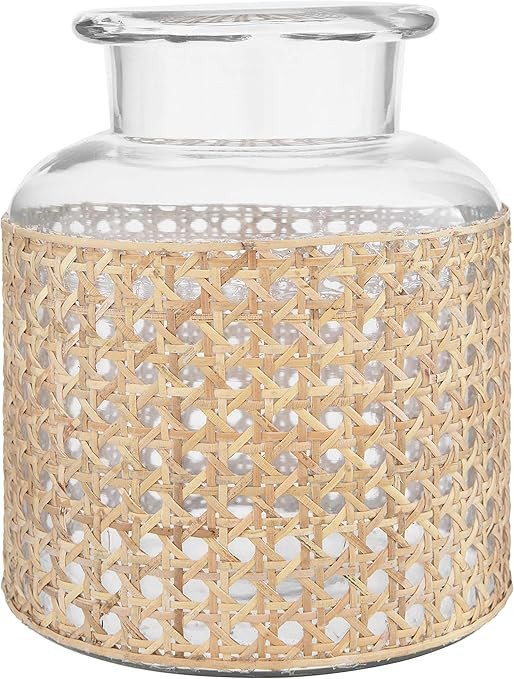 Bloomingville 8" H Glass Decorative Cane Sleeve Vase, Clear | Amazon (US)