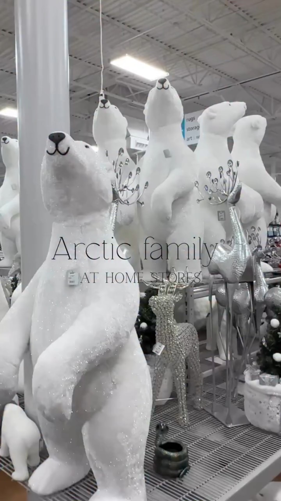 How adorable is this arctic family find at At Home Stores?!❄️🐻‍❄️ If you’re looking to do a polar bear themed Christmas tree this year @athomestores is your store! This and many more other themes to chose from!🤍

#christmastreedecorating #deckyourhomedecor #christmas #christmasdecor #merrychristmas #glamchristmas #reels #instagramreels #polarbear #christmastheme #christmasribbon #christmastree #candycanelane #snowflake #flockedtree #hobbylobby #ornaments #whimsical