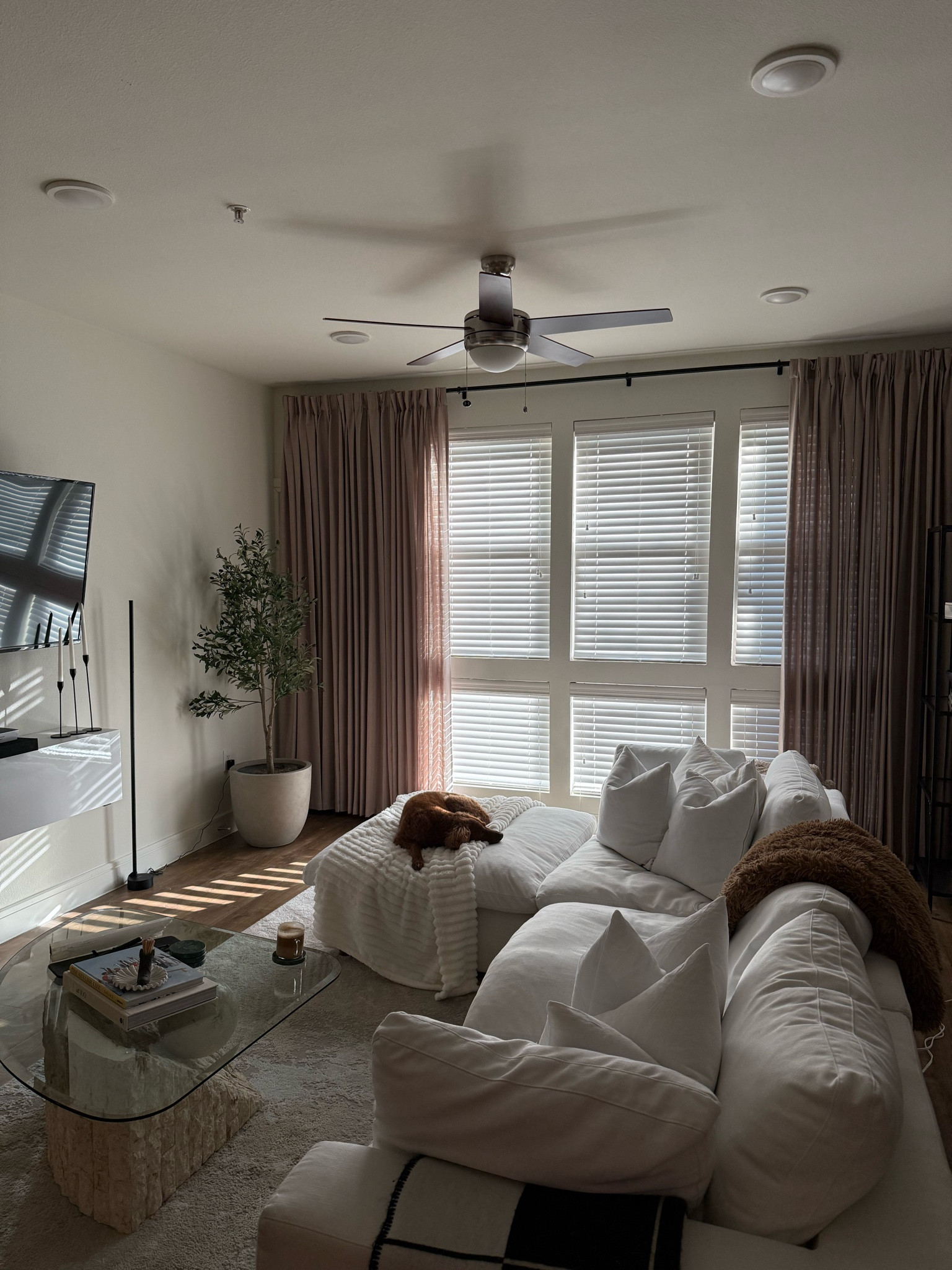 Living room curtains 