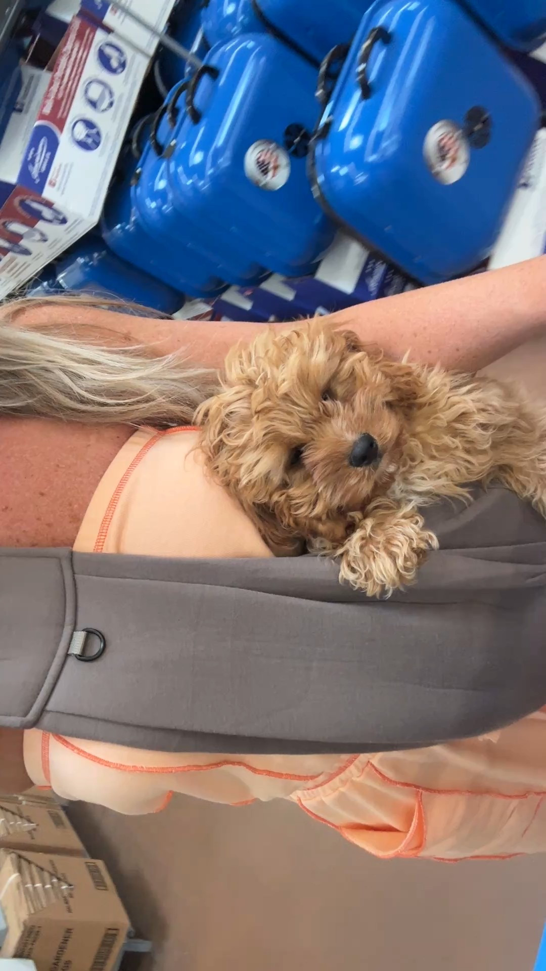 Dog sling! 