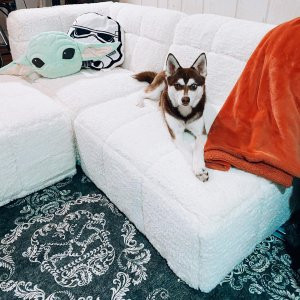 Baldwin Sectional Set | Pottery Barn Teen