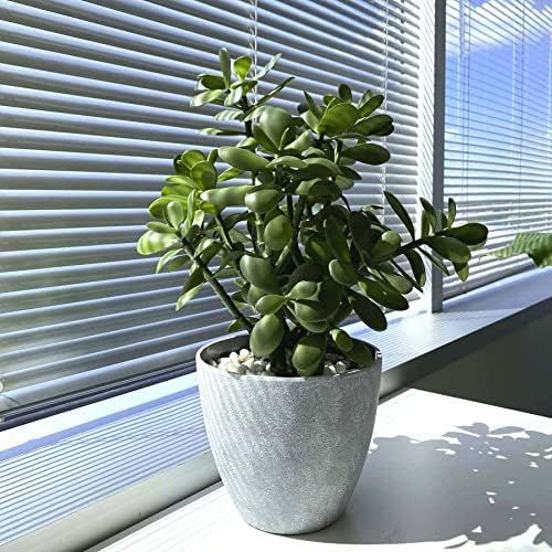 Westcharm 16 in. Potted Faux Jade Plant Home Décor | Artificial Crassula Ovata Succulent Money T... | Amazon (US)