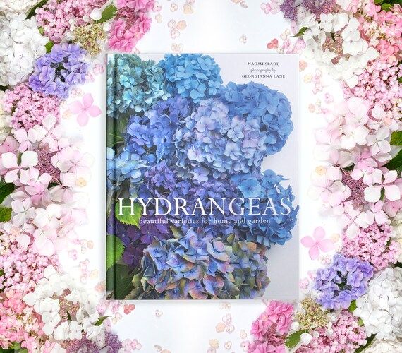 Hydrangeas Book – Signed by Photographer Georgianna Lane, Hydrangea Photography, Flower Photogr... | Etsy (US)