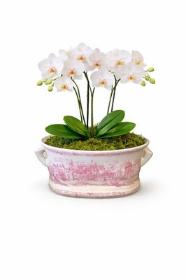 /* Needed for profiling.These variables need to be present inline like this instead of onMount
  ... | eBay US