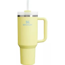 Stanley 40 oz. Quencher H2.0 FlowState Tumbler | DICK'S Sporting Goods