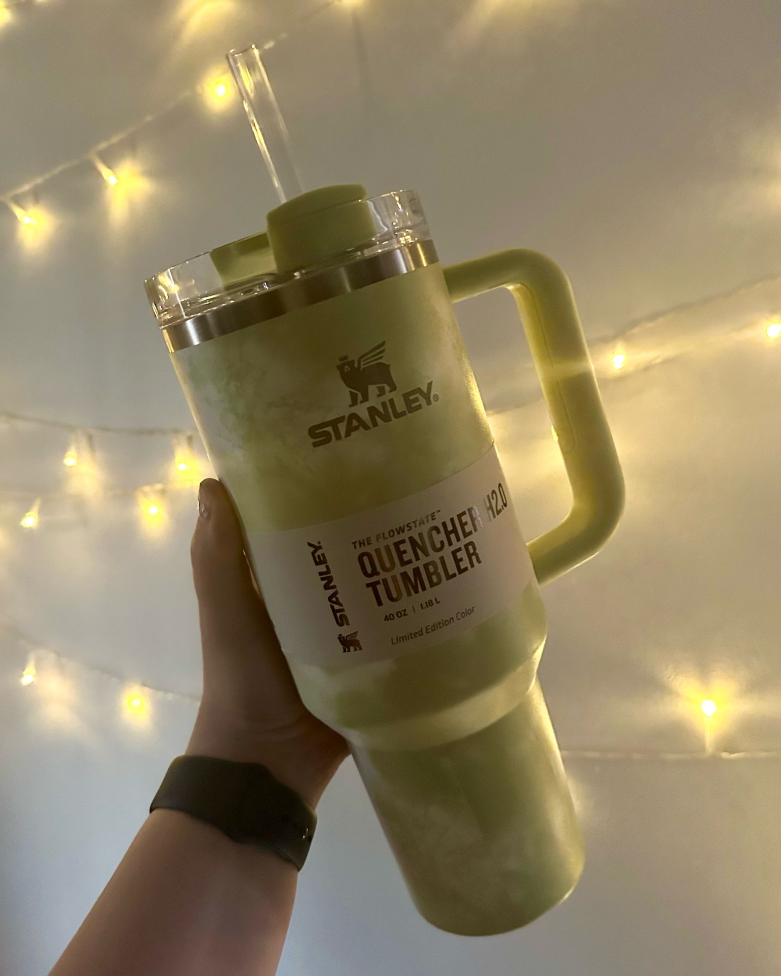 Citron Green tie-dye Stanley Tumbler Cup~ Target Exclusive Limited Edition

#LTKhome #LTKFind #LTKunder50