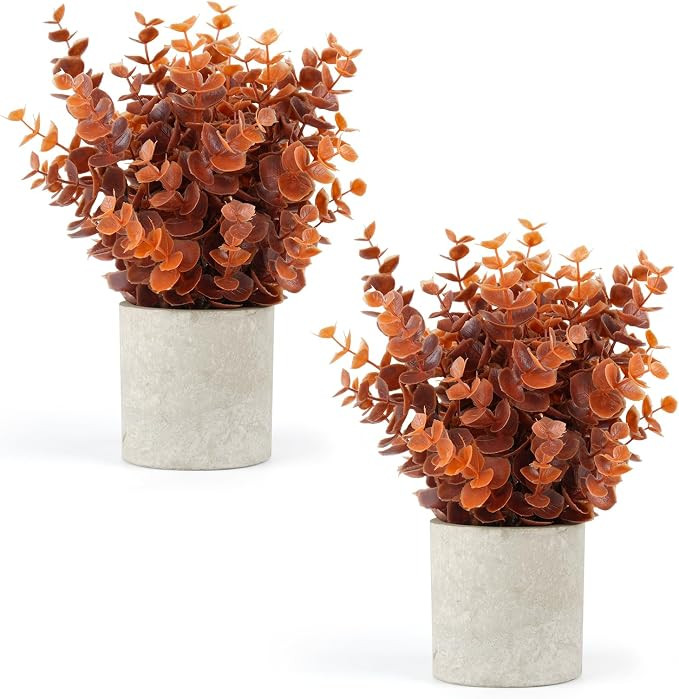 2 PCS Small Fake Eucalyptus Plant Artificial Potted Plants Indoor for Desk, Shelf, Home Decor Rea... | Amazon (US)
