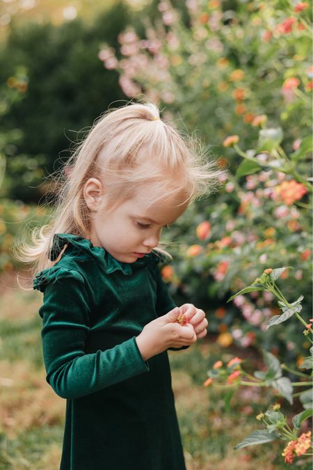 The perfect emerald green toddler dress for family pictures! 

#toddleroutfit #toddlerdress #photography #familypictures #toddlerboots #babyshoes

#LTKbaby #LTKfamily #LTKkids