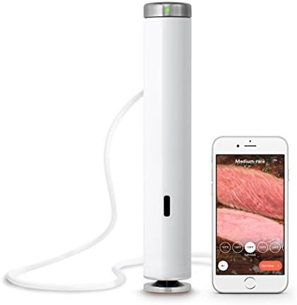 Amazon.com: Breville Joule Sous Vide, Stainless Steel, CS10001: Home & Kitchen | Amazon (US)