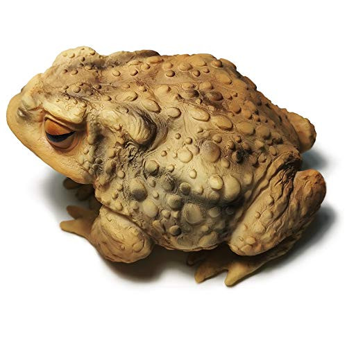 Frog Toad Sculptures Garden Statues Yard Art Resin Decorations Outdoor Garden Decor | Amazon (US)