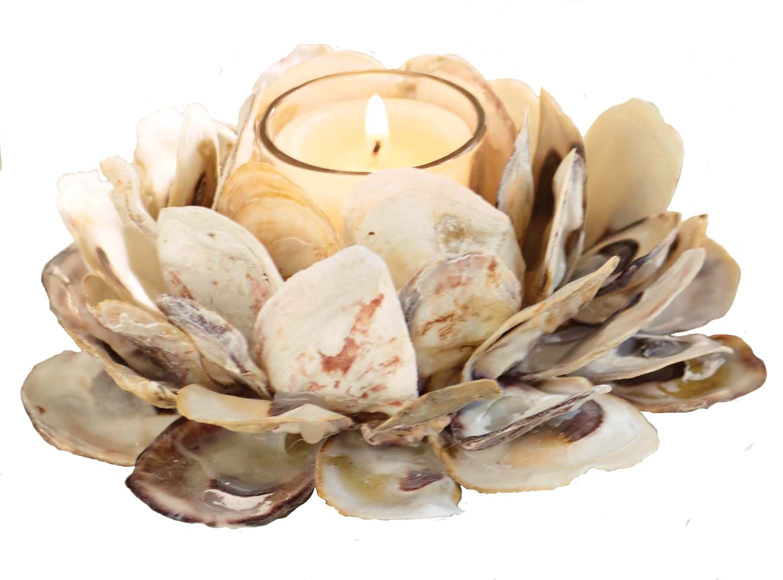 Mud Pie 498B002 Oyster Shell Votive Holder 3 1/4" x 7" | Amazon (US)