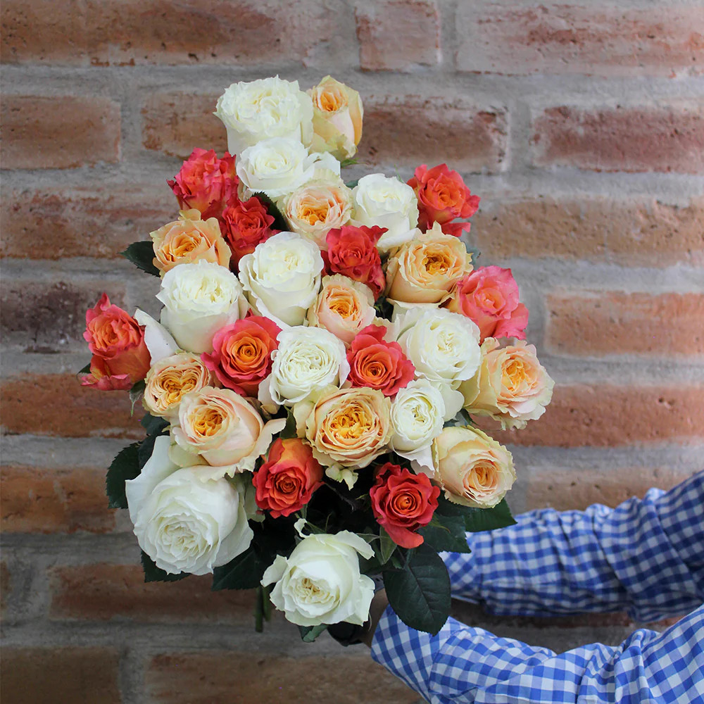 BLUSH OF LOVE Roses – Elegance in Every Petal | Rosaholics