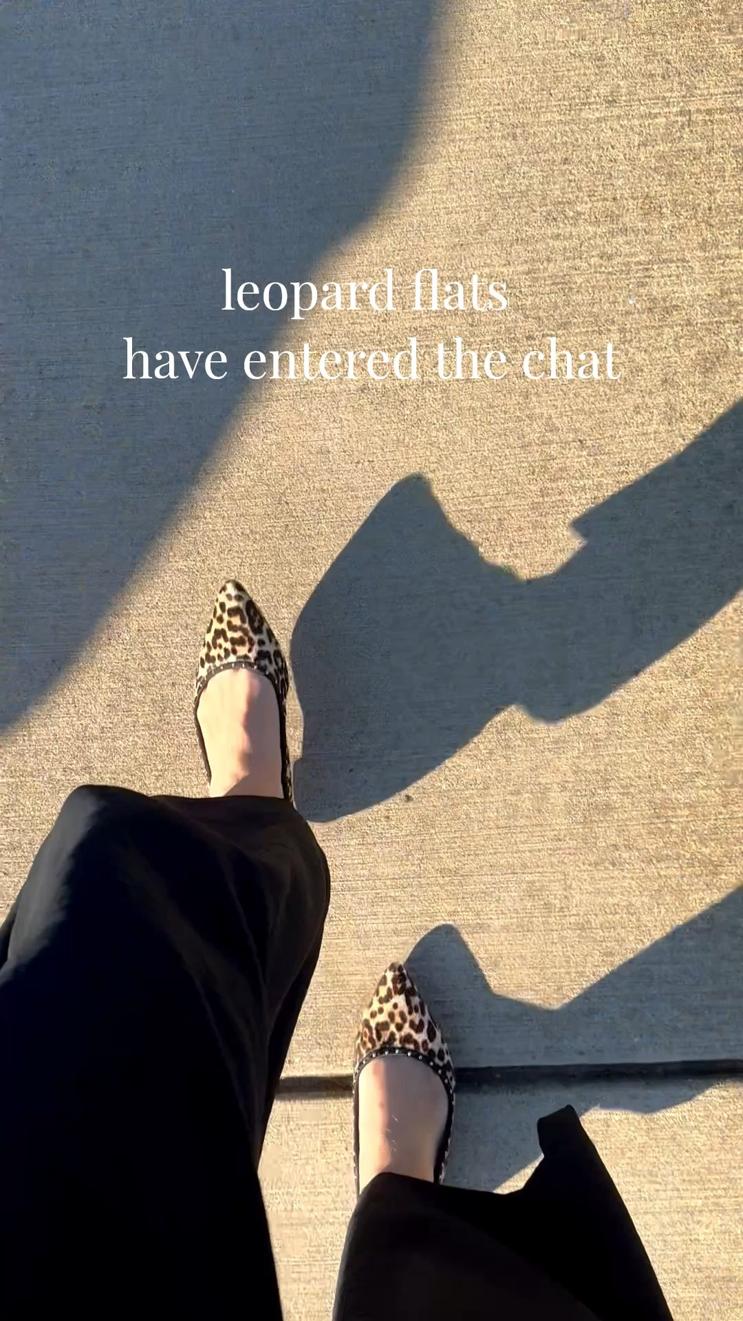 Leopard flats for fall.. fun way to elevate a simple work or weekday outfit

Fall shoes

#LTKWorkwear #LTKSeasonal #LTKootd