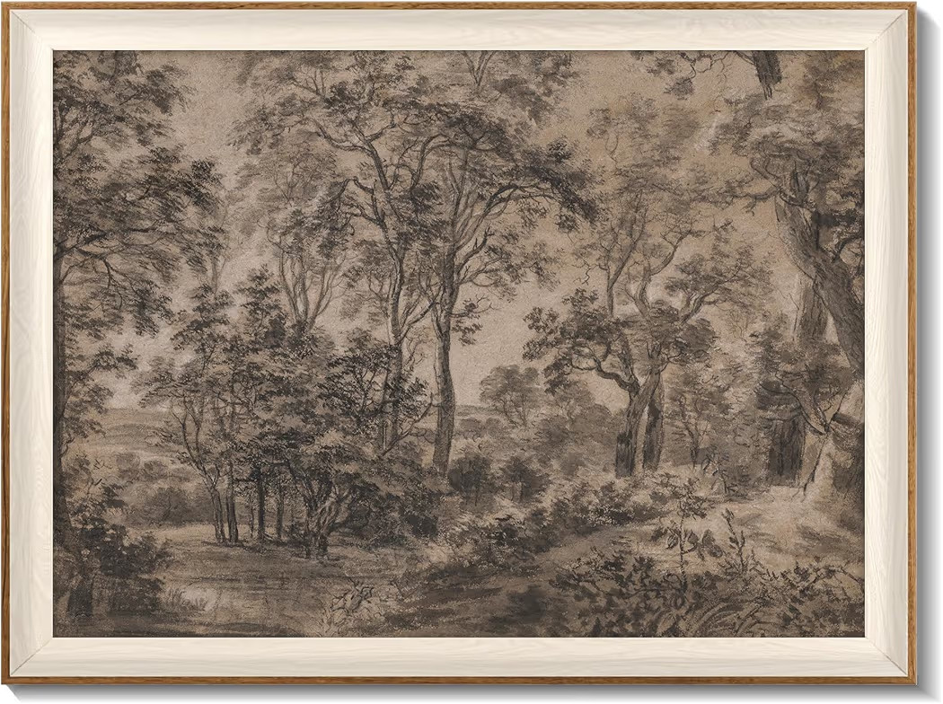 Framed Canvas Wall Art for Living Room Decor, Vintage Neutral Brown Woodland Landscape Painting F... | Amazon (US)