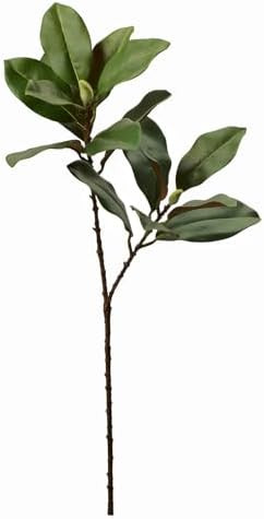 28'' Artificial Southern Magnolia Branches, Realistic Magnolia Tree Fork, Picks for Home Décor, ... | Amazon (US)