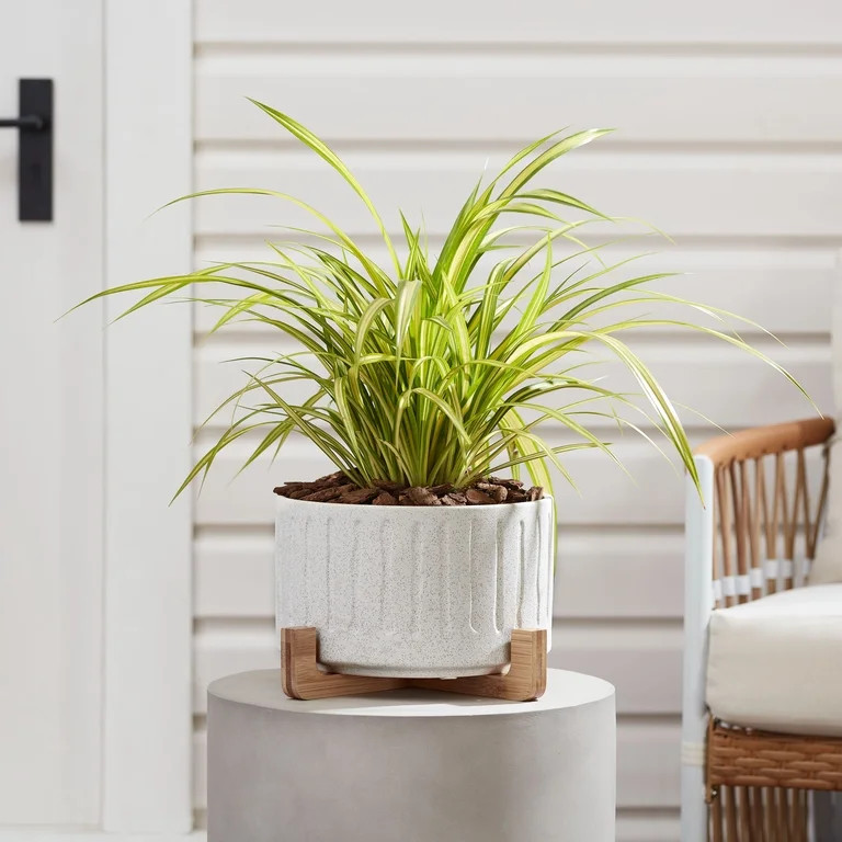 Better Homes & Gardens August 10inch Ceramic Planter with Bamboo Stand, White - Walmart.com | Walmart (US)