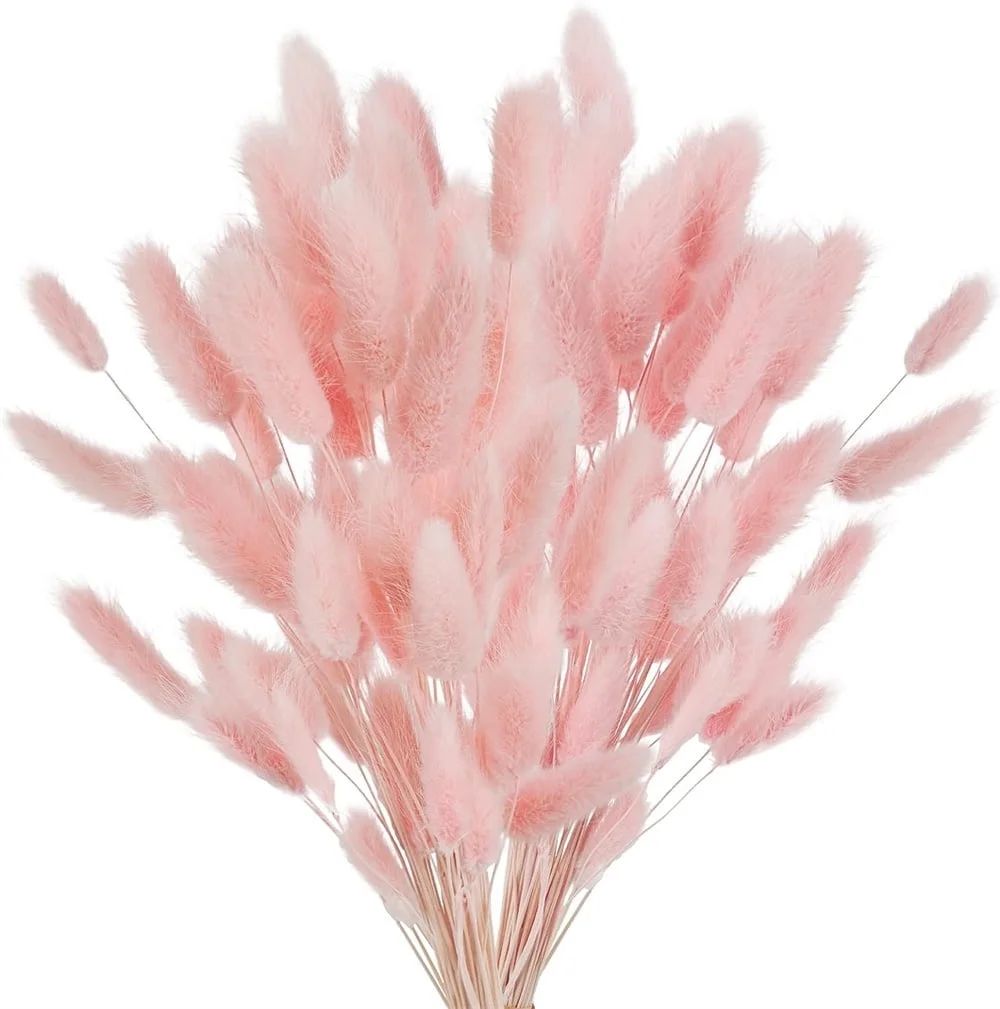 NOGIS 60pcs Dried Bunny Tails Flowers Pampas-Grass Natural Dried Floral Arrangement Dry Flowers f... | Walmart (US)