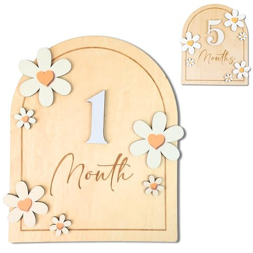 Baby Monthly Milestone Cards - Wooden Monthly Milestone Discs - Newborn Photography Props to Document Your Baby´s Growth - Baby Announcement Sign (B05) | Amazon (US)
