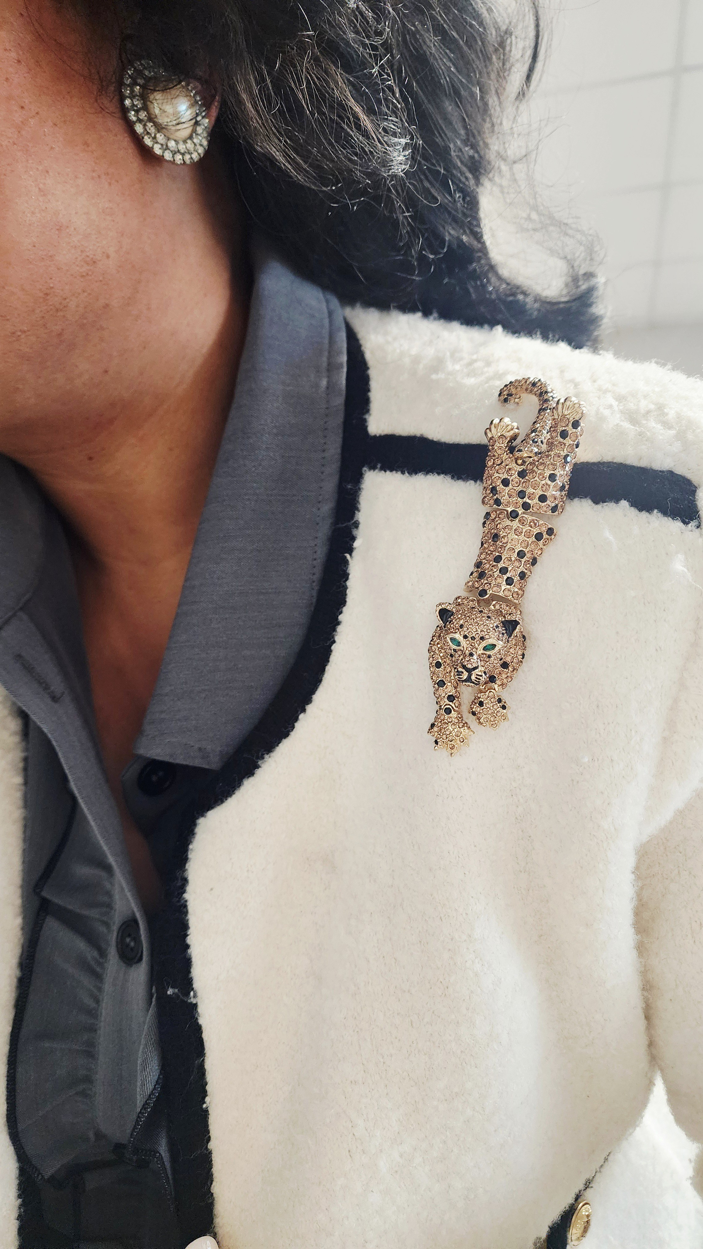 Jaguar Brooch from Chico's

#LTKFallSale #LTKStyleTip #LTKFindsUnder50