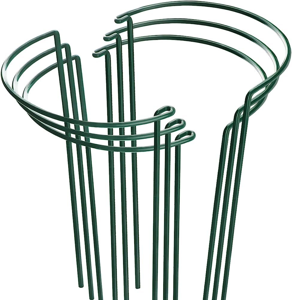 HiGift 6 Pack Plant Support Plant Stakes, Metal Garden Peony Support Cages, Outdoor Plant Support... | Amazon (US)