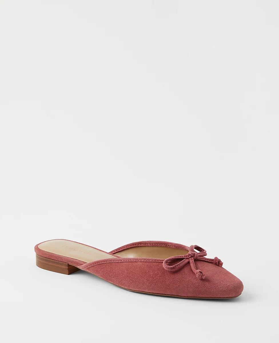 Suede Ballet Flat Slides | Ann Taylor (US)