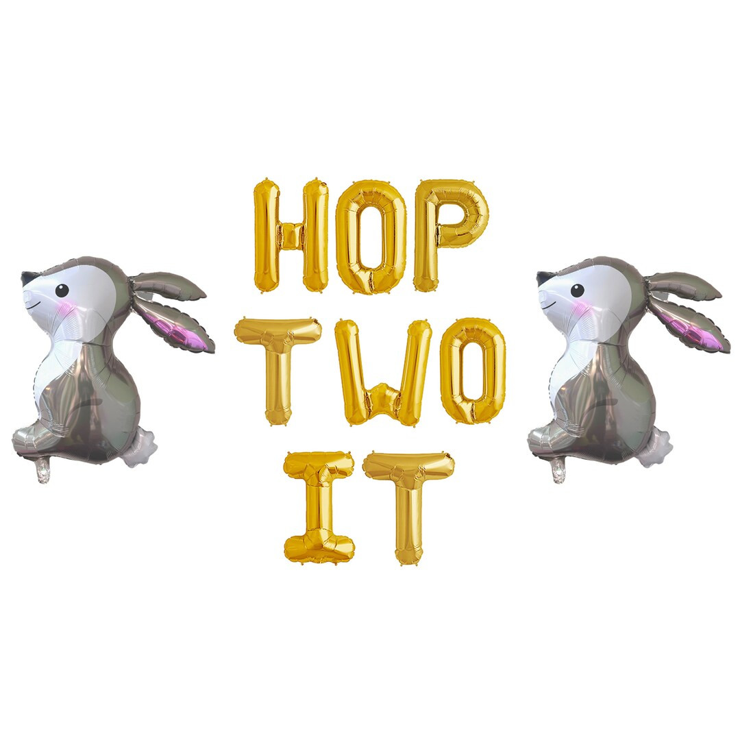 Hop Two It Balloon Banner Easter Bunny 2nd First Birthday Party Decorations Some Bunny Theme 2nd ... | Etsy (US)