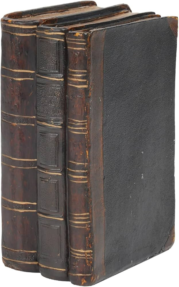 Decorative Books Coffee Table Books Decor - Resin Retro Classical Fake Decorative Books Set of 3 ... | Amazon (US)