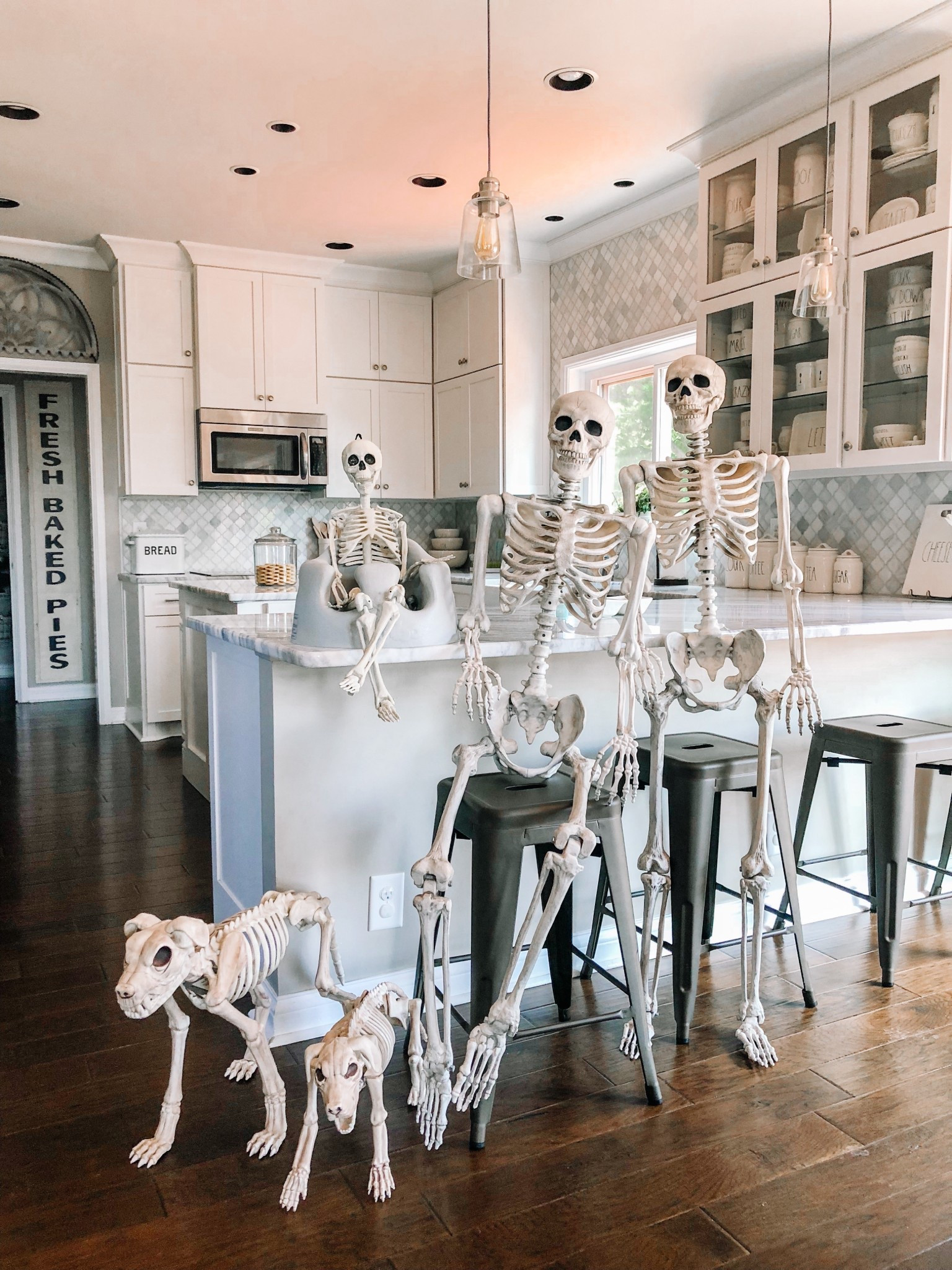 Our 5ft posable skeletons are FINALLY online and only $35! 

#LTKSeasonal #LTKHome #LTKParties