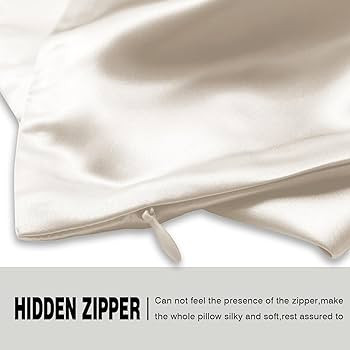 Mulberry Silk Pillow Cases Standard Size Silk Pillowcase with Zipper Soft Breathable Smooth Cooli... | Amazon (US)