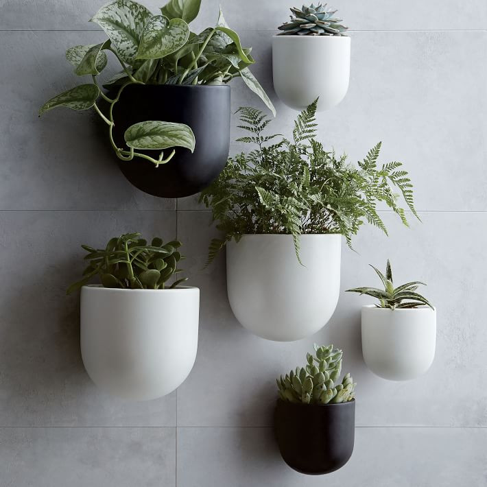 Ceramic Indoor/Outdoor Wallscape Planters | West Elm (US)