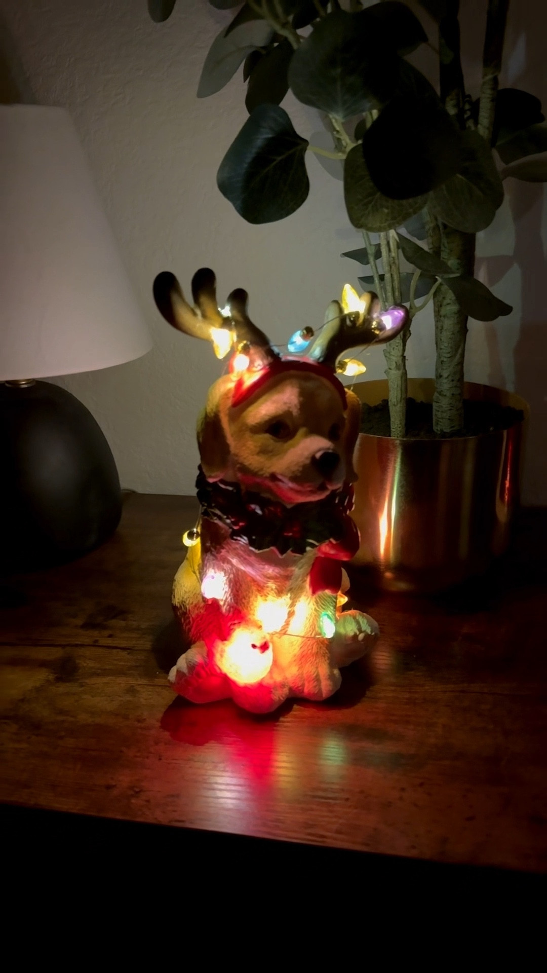 Christmas Dog Decoration | Dog Holiday Decor | Lighted Dog Christmas Decoration 

#LTKHoliday #LTKFindsUnder50 #LTKPets