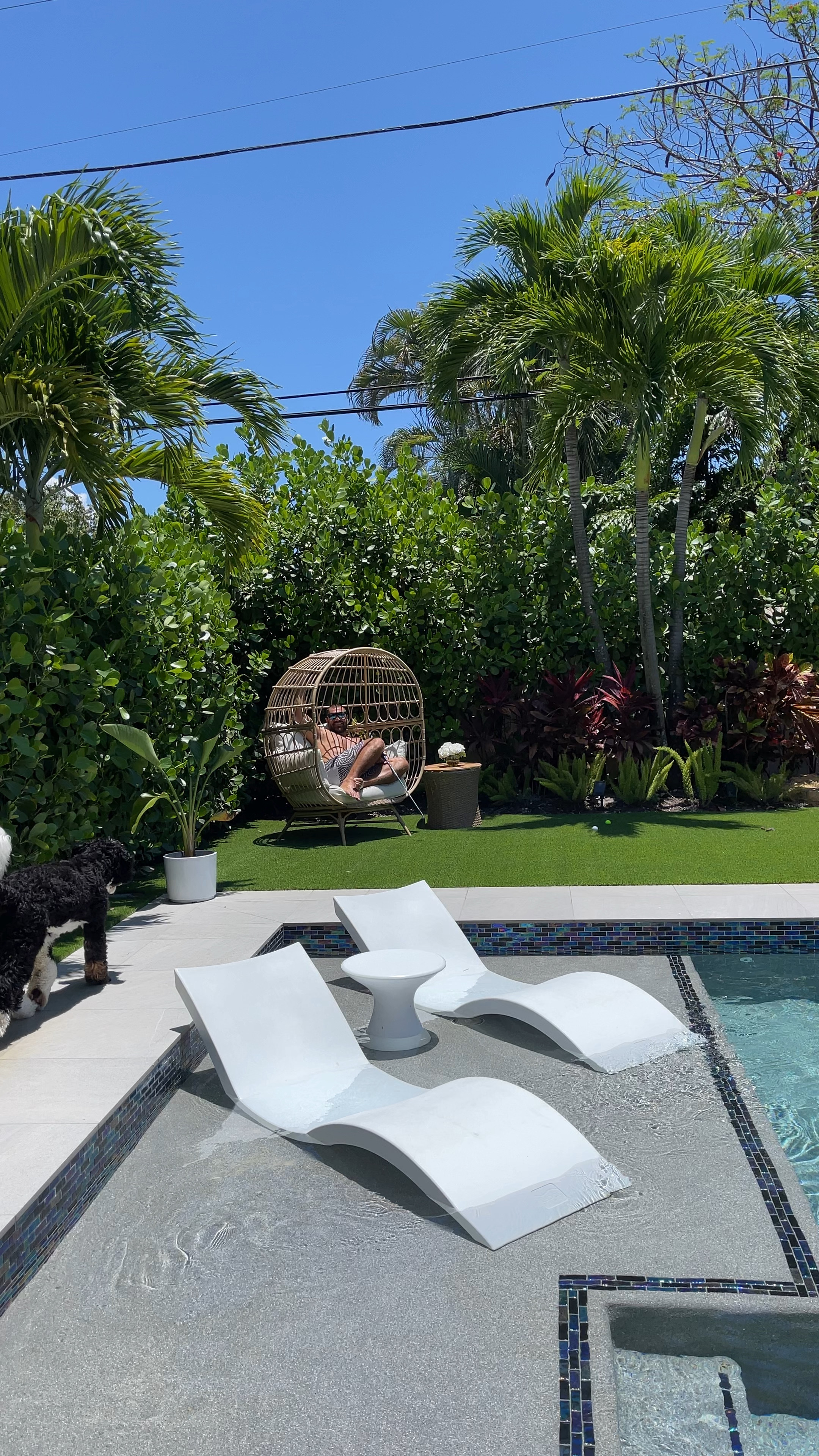 Turfed the backyard and moved some things around! Love this cozy corner & egg chair! I know the in pool loungers can be pricey but they are worth it 100% ! 

#LTKswim #LTKFind #LTKhome