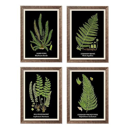 Framed Fern Art Print Set on Black Background Botanical Flower Leaves Plants Scientific Green Lea... | Amazon (US)