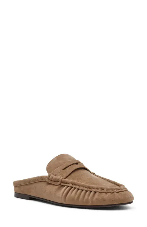 Steve Madden Rafe Loafer Mule in Taupe Suede at Nordstrom, Size 5.5 | Nordstrom