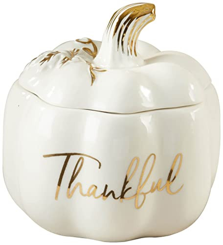 Kate Aspen Thankful White Pumpkin Bowl - Ceramic Decorative Pumpkin Decor Candy Dish With Lid, Fall Candy Dish, Thanksgiving Bowl, Fall Decorations for Home, Kitchen Decor, Thanksgiving Decorations | Amazon (US)