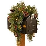 National Tree Company Pre-lit Artificial Christmas Mail Box Swag Flocked with Mixed Decorations a... | Amazon (US)