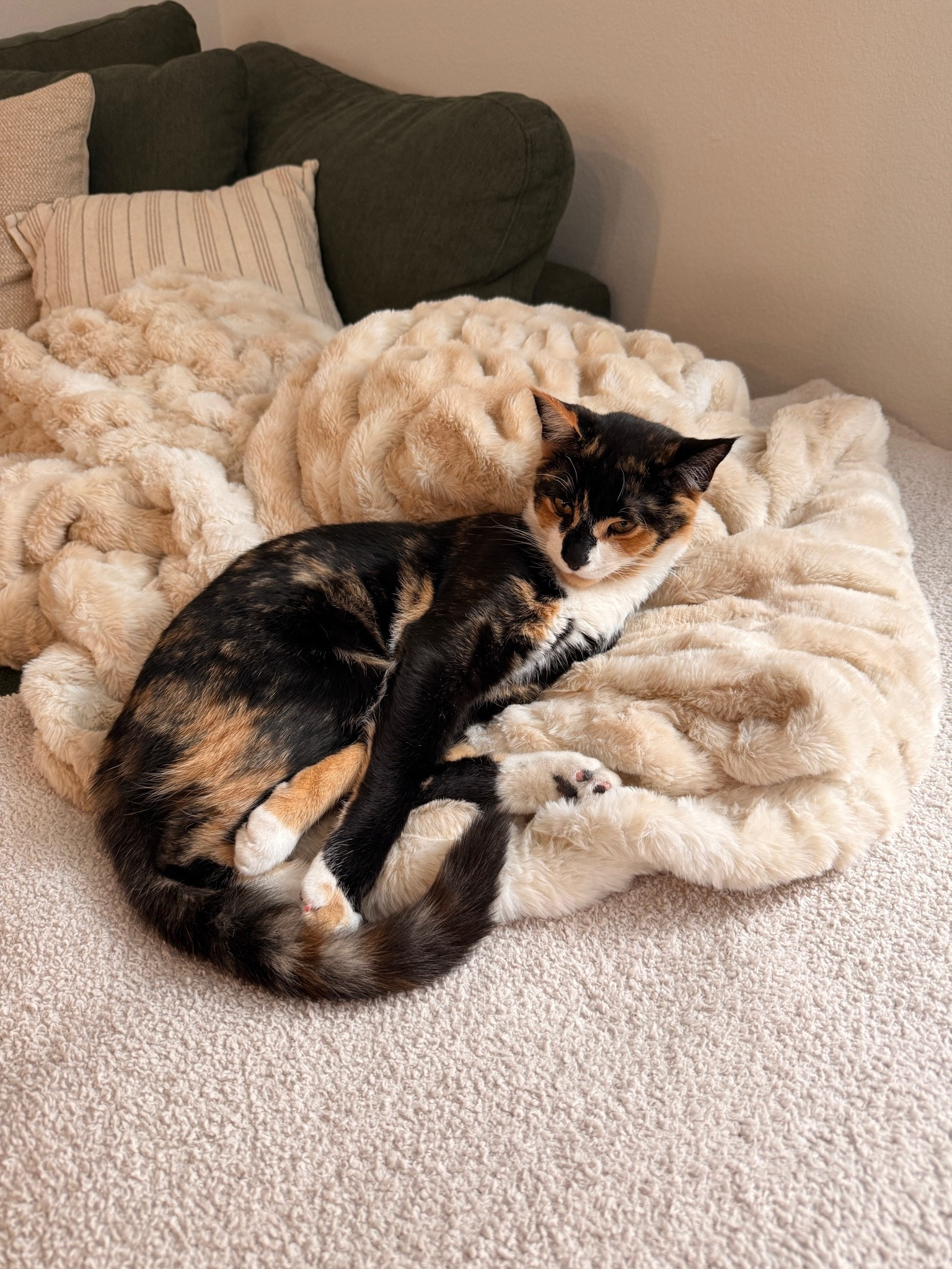 Cozy blanket from Lola

#LTKMothersDay #LTKHome #LTKSaleAlert
