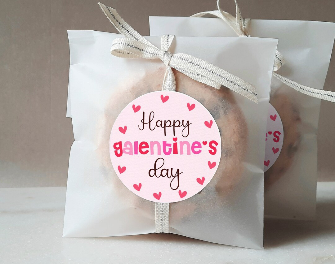 Galentines Gift Tags Pink Red Heart Girls Night Out Party Sticker Happy Valentines Day Favor Tags... | Etsy (US)