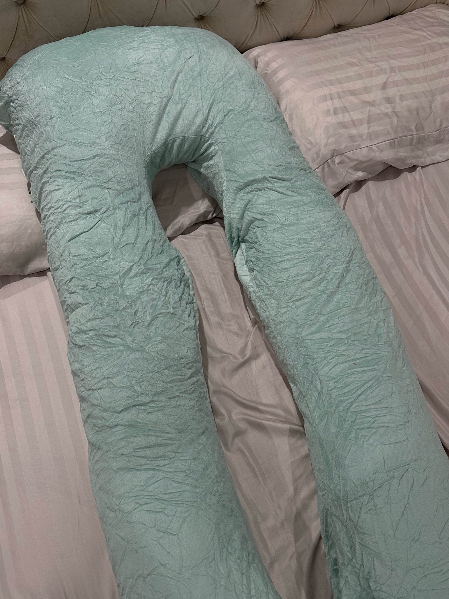 Pregnancy pillow 

#LTKbump #LTKfamily #LTKbaby