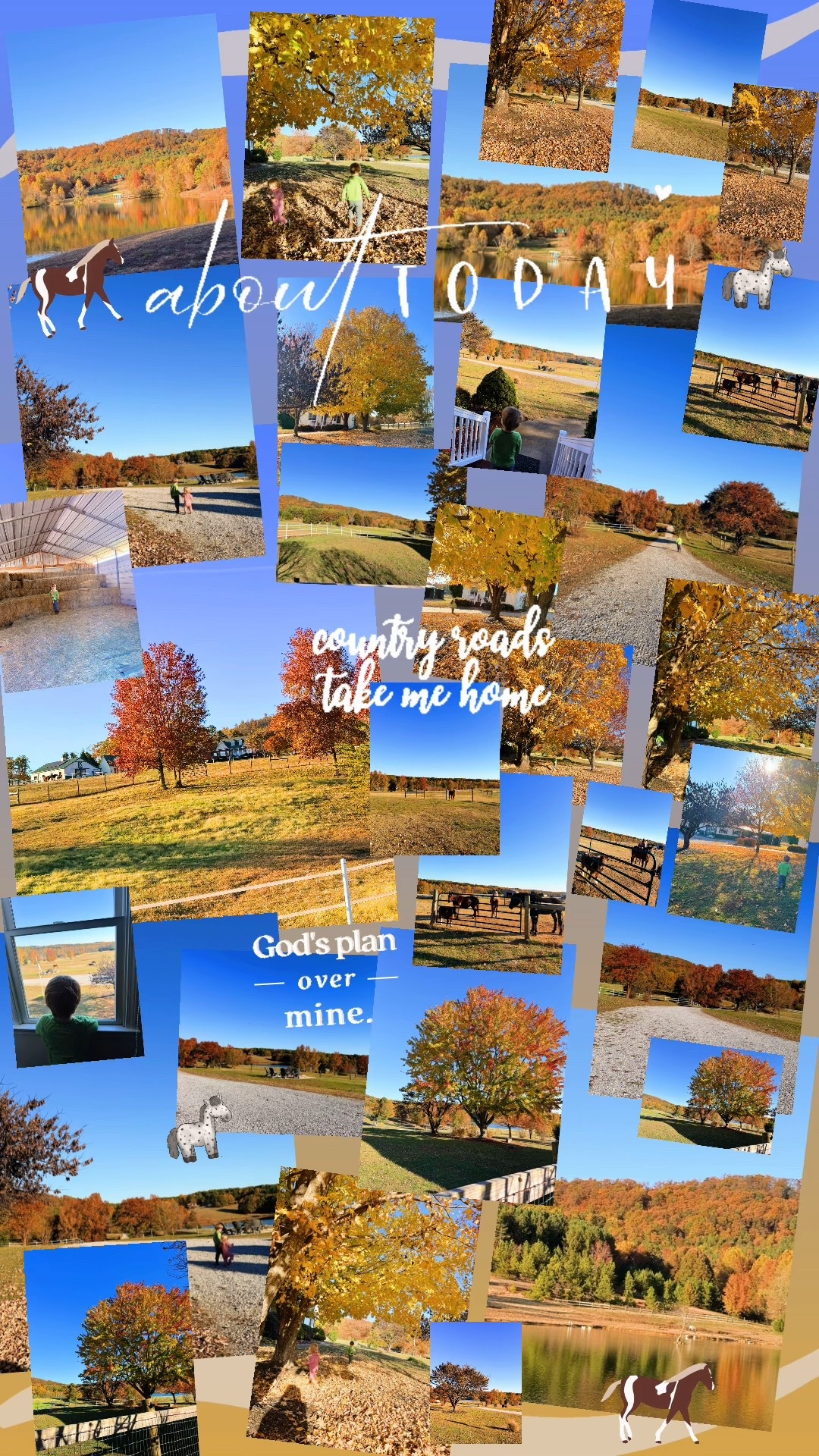 Country roads take me home 🏡🐴🌾✨