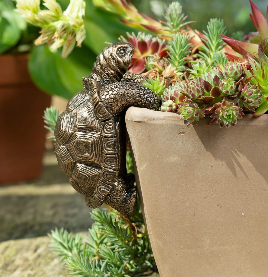 Tortoise, Pot Buddy, Pot Hanger, Bronze, Coloured Tortoise, Gift Boxed, Tortoise Ornament, Garden... | Etsy (US)