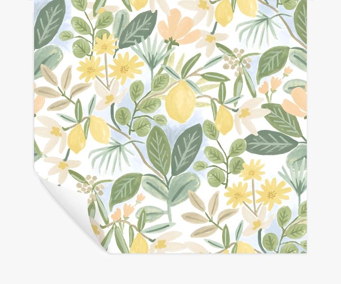 Amalfi Peel & Stick Wallpaper | Rifle Paper Co.