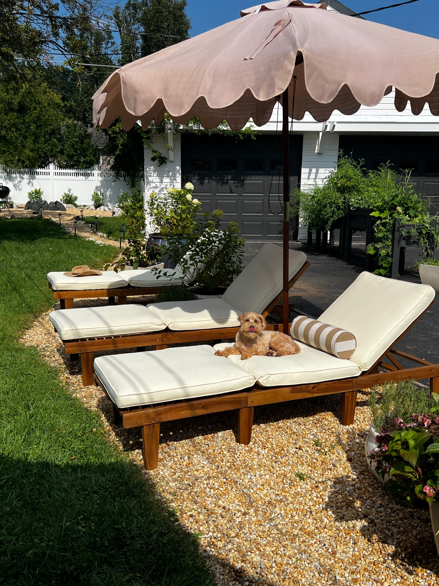 Very impressed with our outdoor pool loungers. Such a great price for the quality! 

#LTKhome #LTKswim #LTKFind