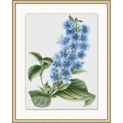 Floral Study " Floral Study 4 | Wayfair North America