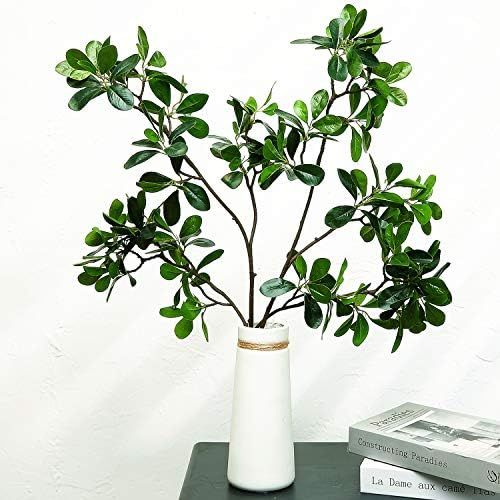 Artificial Ficus Greenery Twig Branches Faux Tree Twig Leaves Plant Lifelike Artificial Stems for... | Amazon (US)