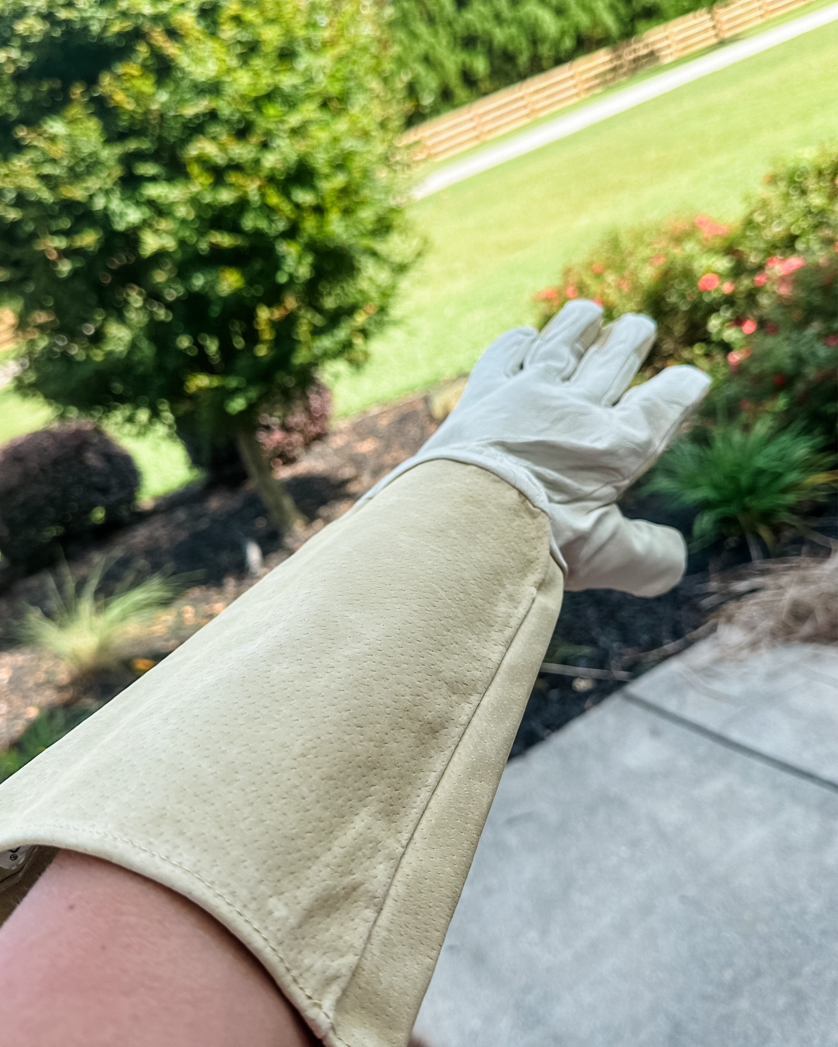 Long Rose pruning garden gloves for men or women. Love the length so my arms don’t get scratched up. 



#LTKGiftGuide #LTKSeasonal #LTKHome