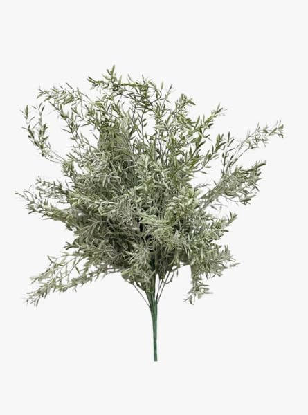 Rosemary Stem | Amazon (US)